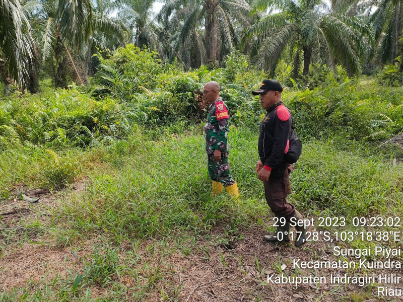 Demi Menjaga Hutan dan Lahan, Babinsa Koramil 04/Kuindra Turun Untuk Patroli Rutin