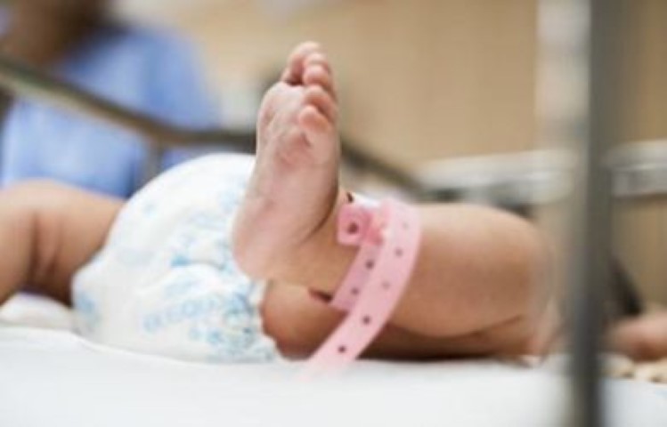 Diduga Dibuang Orang Tuanya, 14 Mayat Bayi Ditemukan dalam Kantong PlastikBayi