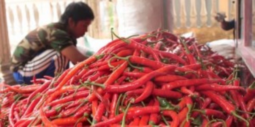 Masih Pedas, Segini Harga Cabai Merah di Pekanbaru