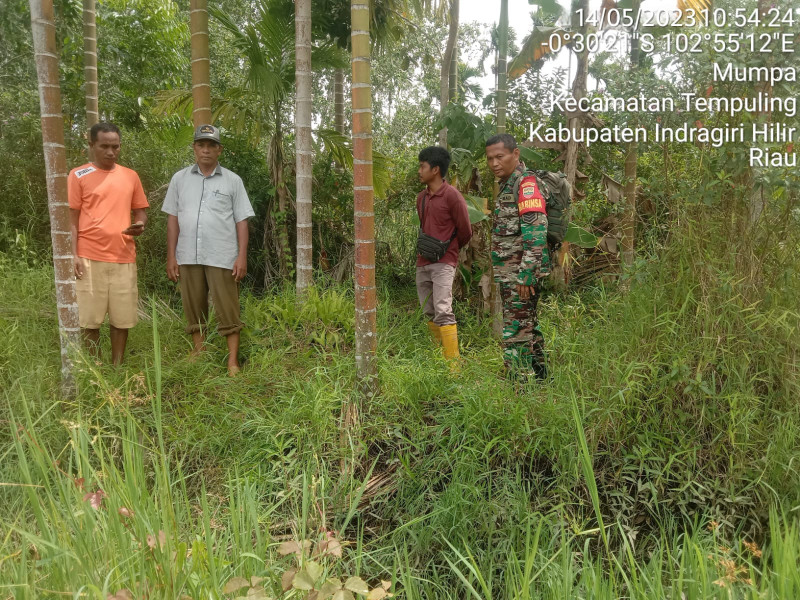Cuaca Panas Rawan Karlahut, Babinsa 03/Tpl Lakukan Patroli Karhutla