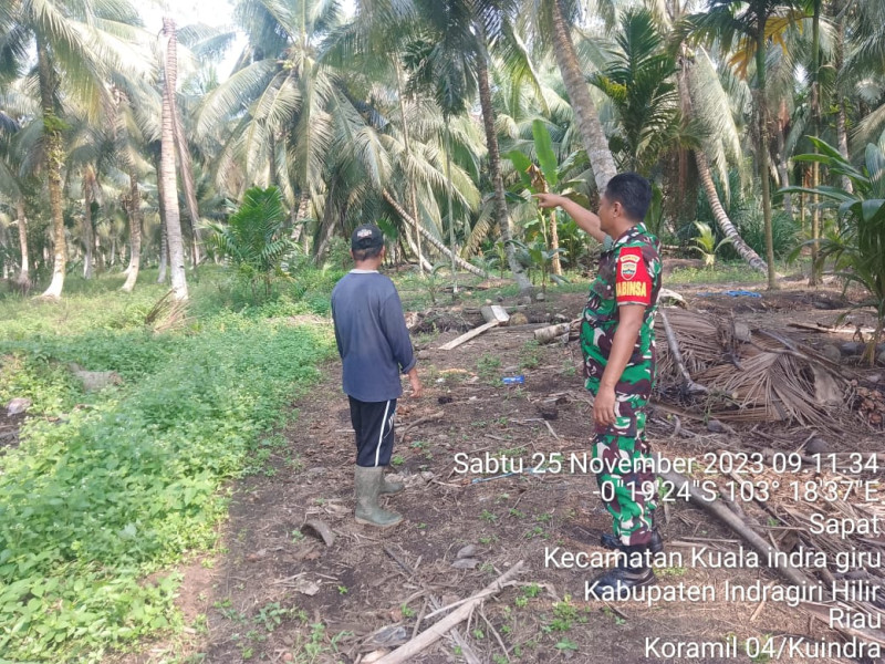 Babinsa Koramil 04/Kuindra Lakukan Peninjauan Terhadap Lahan dan Hutan Warga