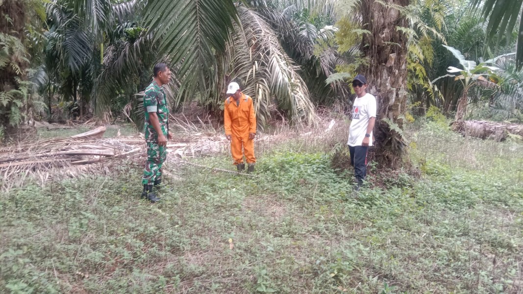 Babinsa Serka Yadi Yanto Tingkatkan Keamanan di Wilayah Melalui Patroli Tapal Batas Dengan Warga