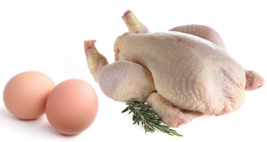 Harga Telur dan Daging Ayam di Pekanbaru Terus Mengalami Penurunan