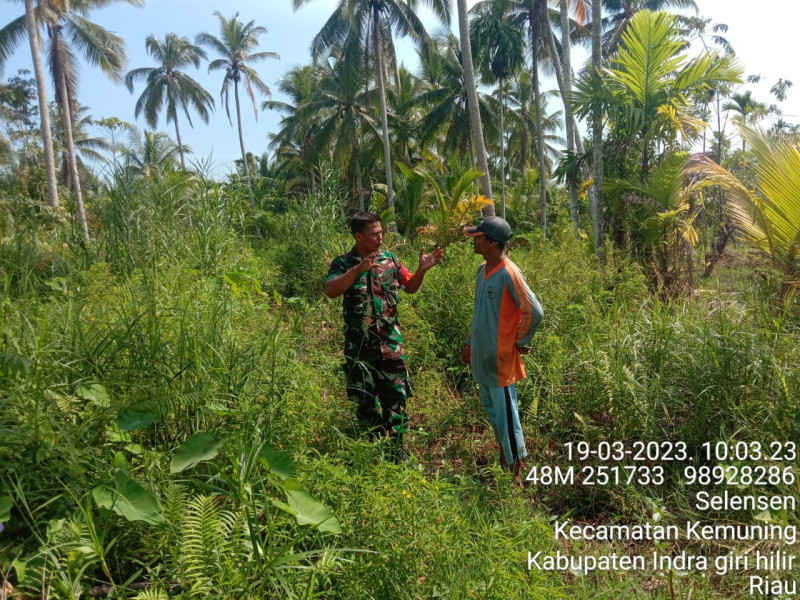 Di Kelurahan Selensen, Babinsa Koramil 09/Kemuning Adakan Patroli Karhutla
