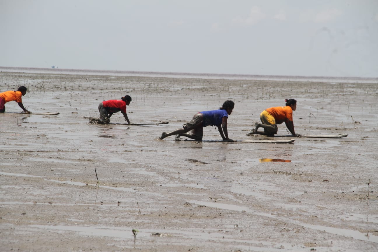 Peringatan Hari Ozon Sedunia, Mari Jaga Bumi dari Pemanasan Global