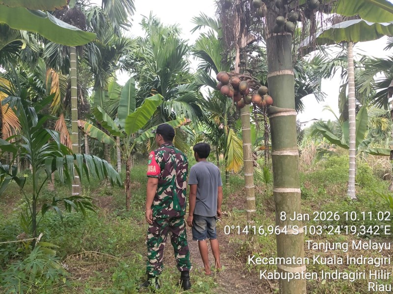 Patroli Tapal Batas di Tanjung Melayu, Babinsa Koramil 04/Kuindra Situasi Aman dan Terkendali