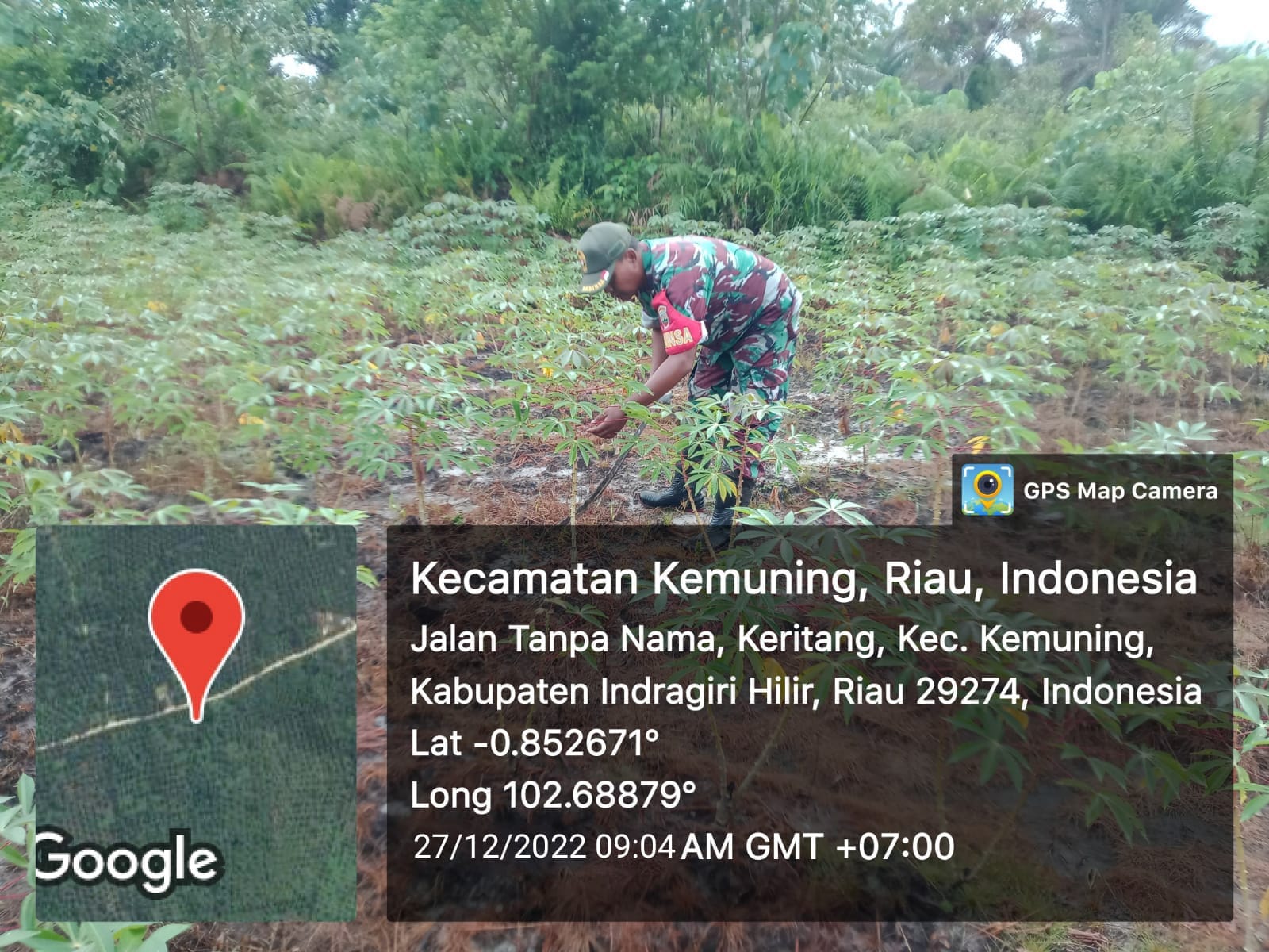 Babinsa Koramil 09/Kemuning Giat Lakukan Pembersihan Gulma di Binaan