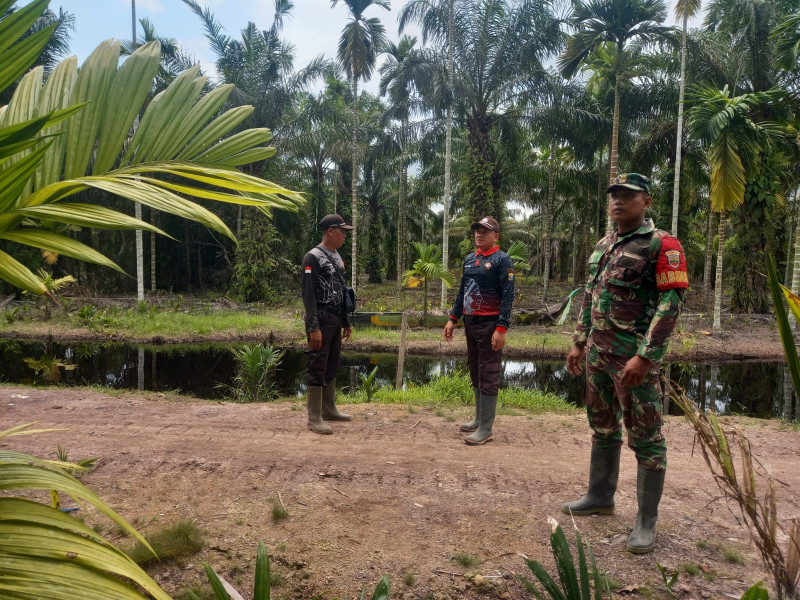 Babinsa Koramil 05/Gas Kodim 0314/Inhil Pratu Sandi Wahyudi Gencar Patroli Mitigasi Lahan Terbuka