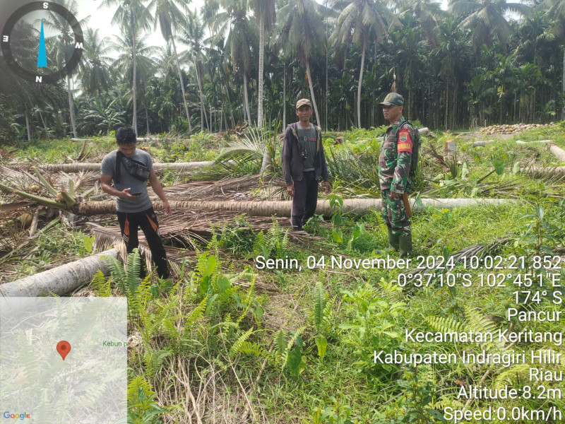 Babinsa Koramil 09/Kemuning Rutin Turun Untuk Lakukan Pemantauan Terhadap Lahan dan Hutan Agar Terhindar Dari Kebakaran