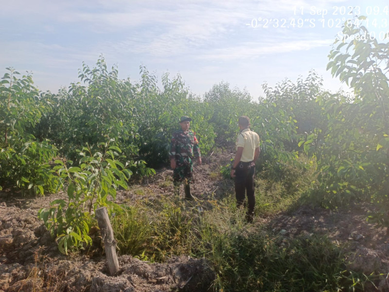 Babinsa 05/Gas Kopda Chandra Manto Gencar Laksanakan Patroli Hutan Dan Lahan di Binaan