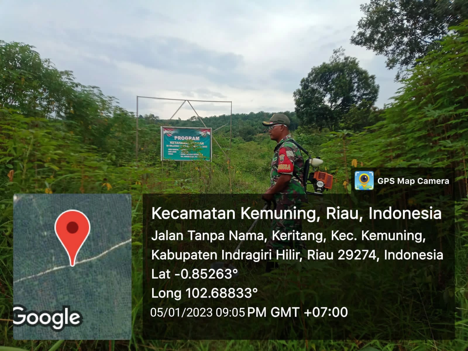 Pelihara Kebun, Babinsa Koramil 09/Kemuning Giat Ketahanan Pangan