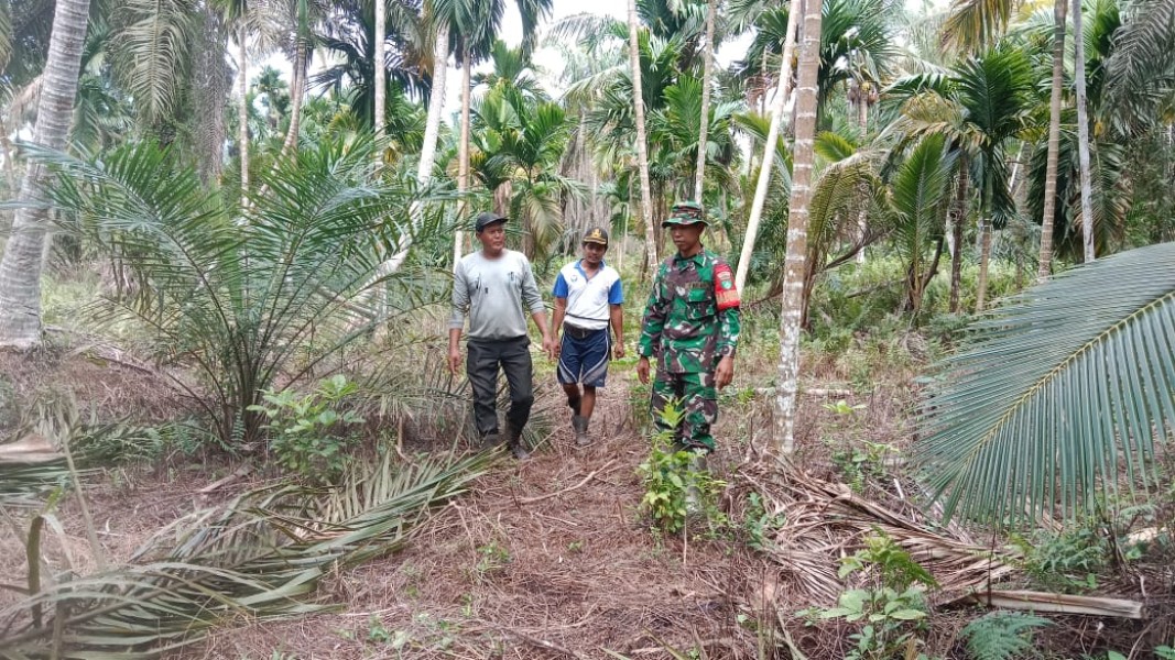 Babinsa Serka Yadi Yanto Giat Patroli Tapal Batas Untuk Meningkatkan Kualitas Keamanan