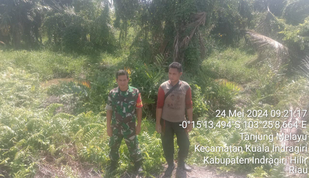 Babinsa Koramil 04/Kuindra Lakukan Pencegahan Karhutla di Binaan Dengan Warga