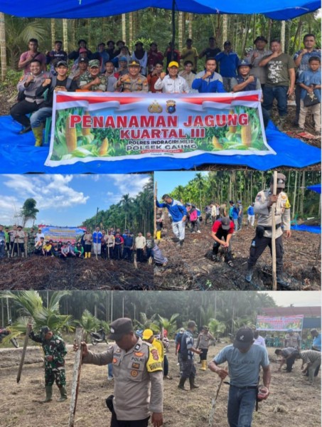 Mendukung Ketahanan Pangan Nasional, Polsek Gaung Gelar Kegiatan Penanaman Jagung
