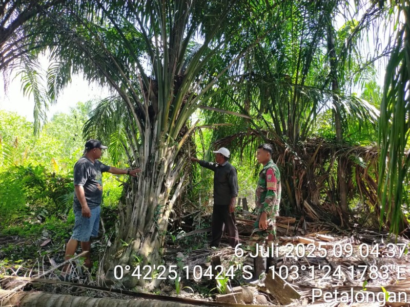 Babinsa Koramil 09/Kemuning Secara Rutin Jaga Lingkungan dari Bahaya Karhutla