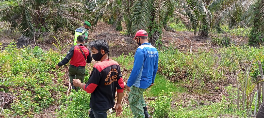 Antisipasi Karhutla, Babinsa dan MPA Laksanakan Patroli Karlahut di Daerah Rawan Kebakaran