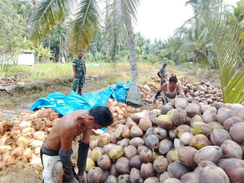 Babinsa Koramil 07/Reteh Dukung Pertanian Masyarakat