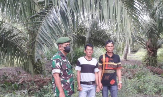 Babinsa Koramil 04/Kuindra Lakukan Pencegahan Terhadap Lahan dan Hutan