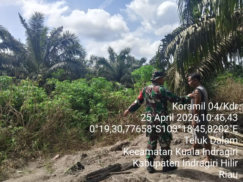 3,5 Jam Sisir Tapal Batas, Babinsa Teluk Dalam: Titik Api dan Asap Nihil, Hutan Aman