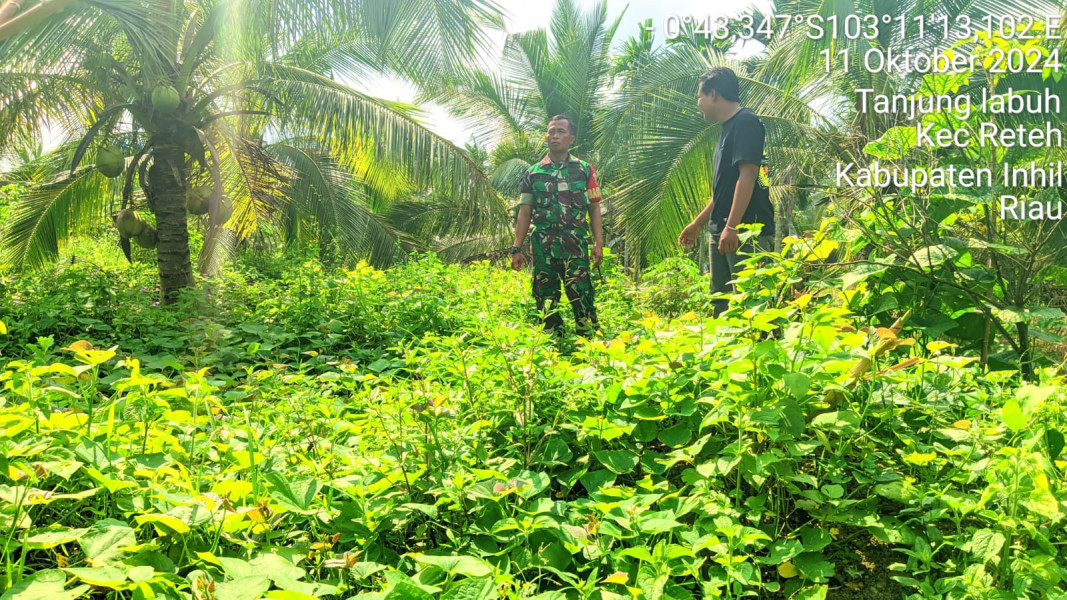 Cegah Kebakaran Lahan, Babinsa Koramil 07/Reteh Lakukan Pemantauan Terhadap Karhutla