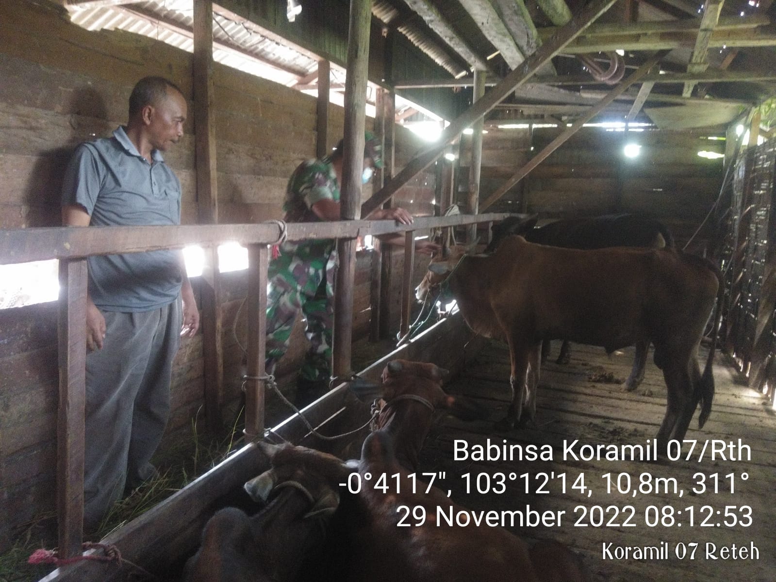 Babinsa Koramil 07/Reteh Tegakkan Posko Pengawasan Hewan Ternak