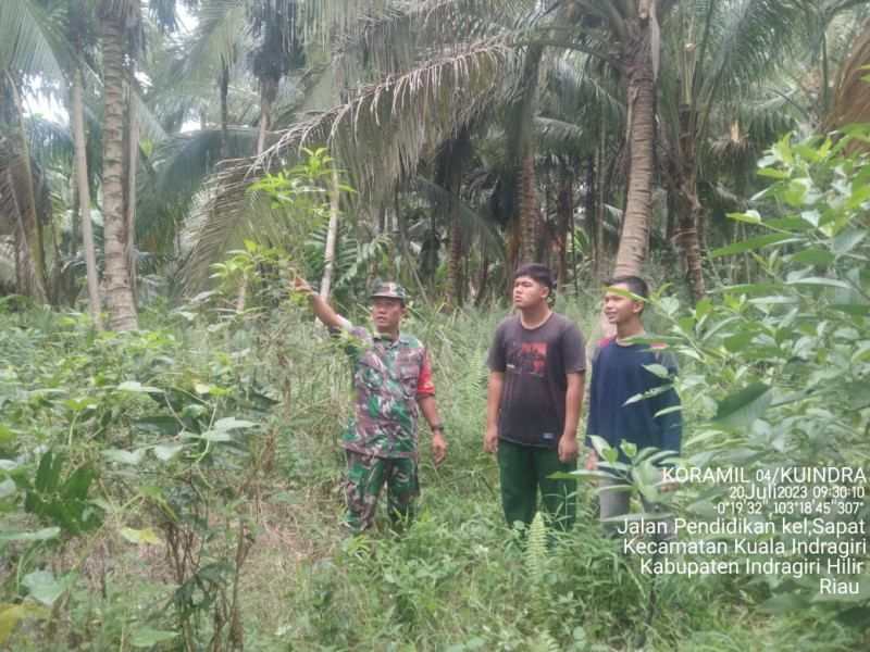 Babinsa Koramil 04/Kuindra Terus Lakukan Pencegahan Terhadap Karhutla di Binaan