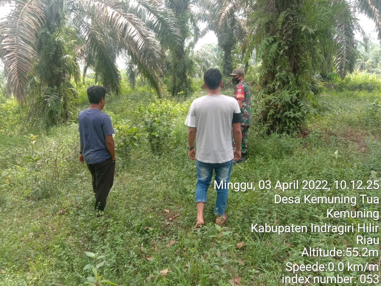 Kemarau Datang, Babinsa Koramil 09/Kemuning Gencarkan Patroli Karhutla