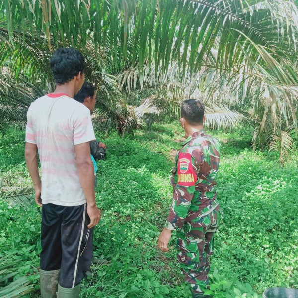 Babinsa Koramil Reteh Laksanakan Patroli dan Sosialisasi Karhutla untuk Mencegah Kebakaran