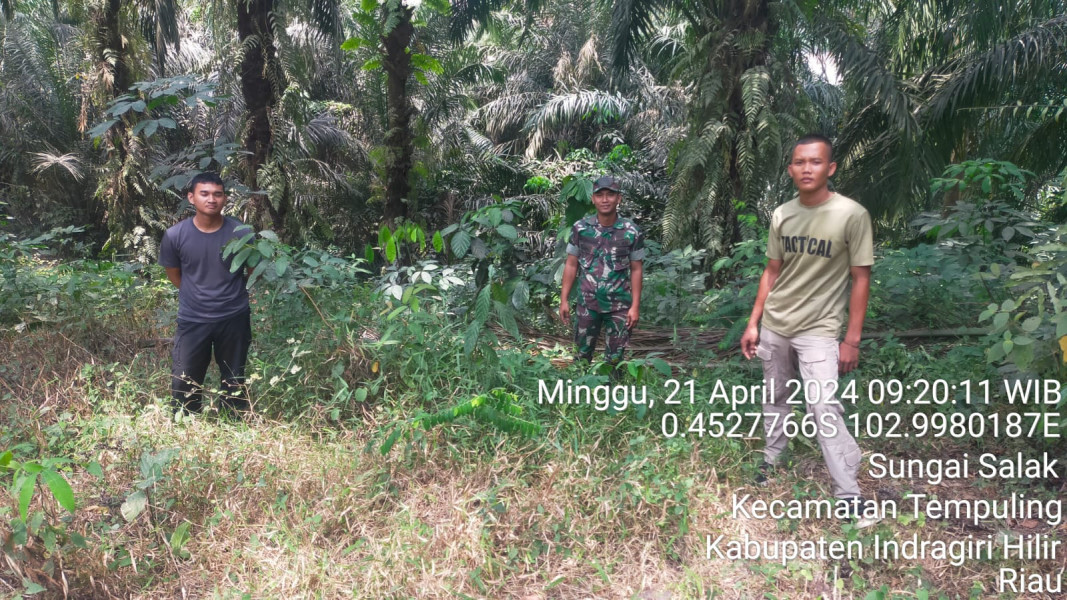 Tak kenal Hari libur Babinsa Koramil 03/Tpl Tetap Lakukan Patroli Agar Wilayah Terhindar Dari Karhutla
