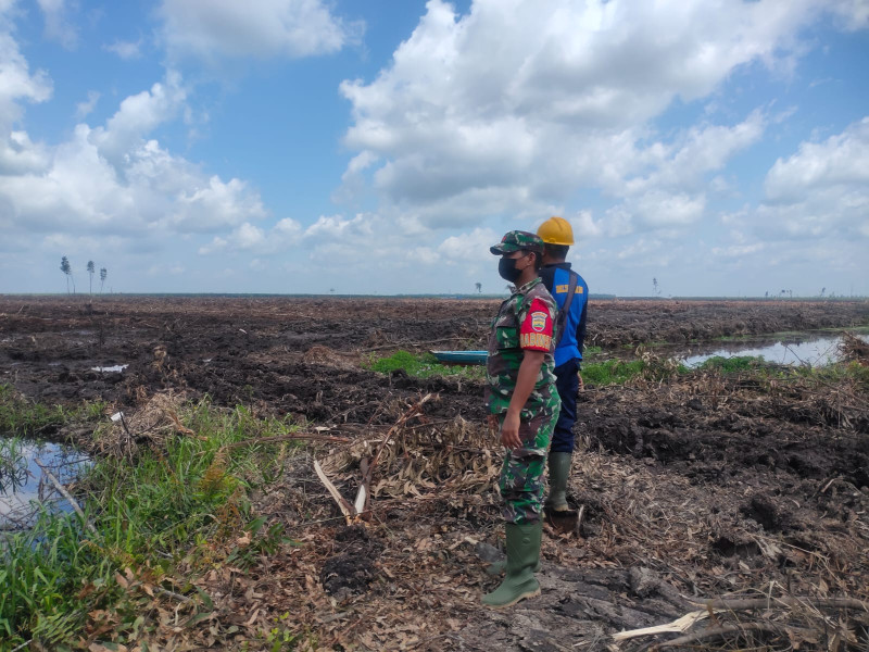 Babinsa Koramil 05/Gas Laksanakan Patroli Kebakaran Hutan Konsesi Mitigasi Di Kawasan PT.MSK