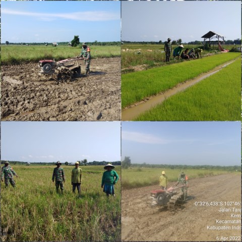 Babinsa 03/Tempuling Dampingi Petani Garap Lahan Yang Disiapkan Untuk Tanaman Padi