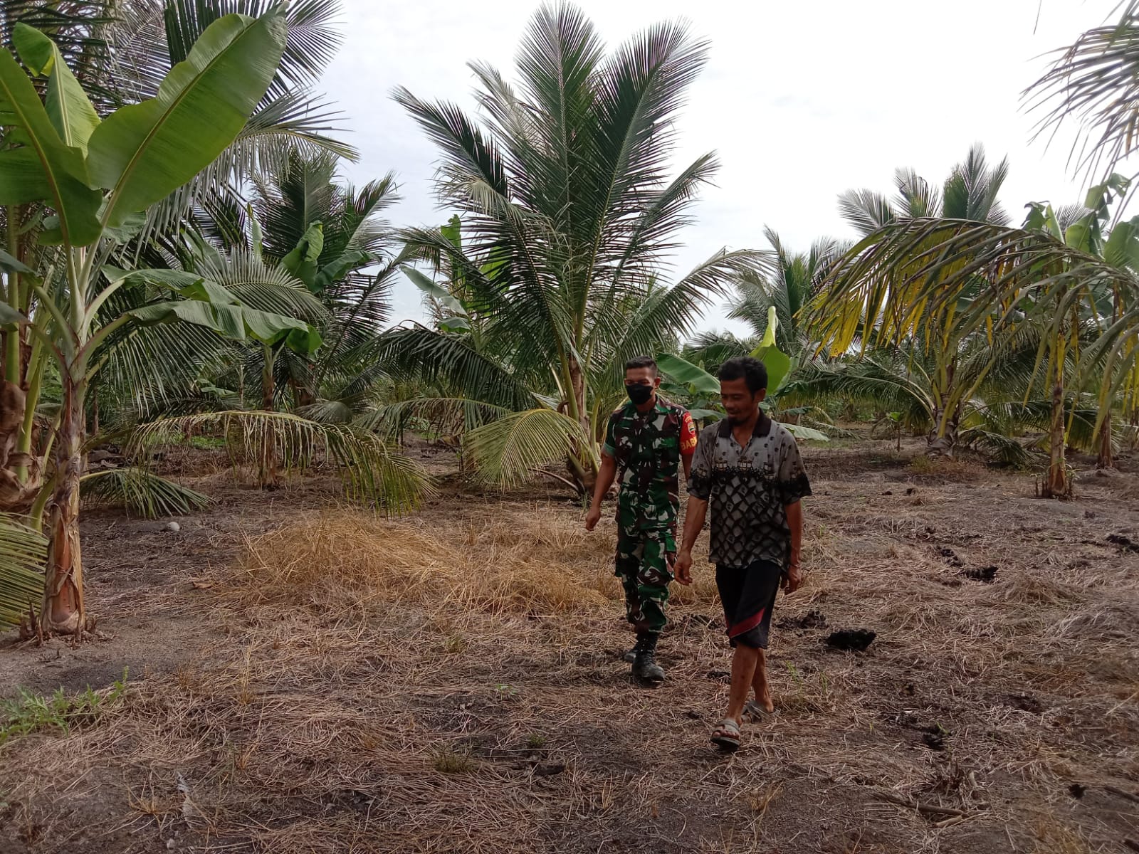 Himbauan Kepada Warga Agar Tetap Menjaga Lahan dan Hutan di Wilayah Oleh Serda Ali Borkat Harahap