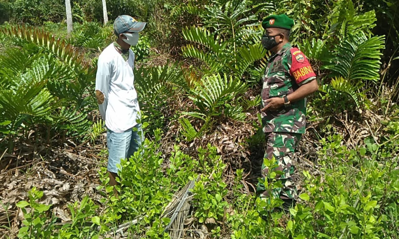 Cegah Karhutla, Babinsa Koramil 04/Kuindra Terus Lakukan Patroli dan Sosialisasi Bersama Warga