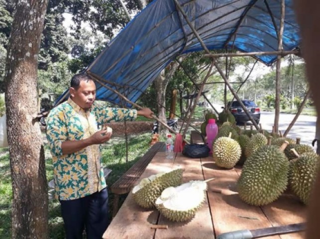 Beraneka Ragam Jenis Durian Ada di Siak, Dinas Pariwisata Wacanakan Program Agrowisata