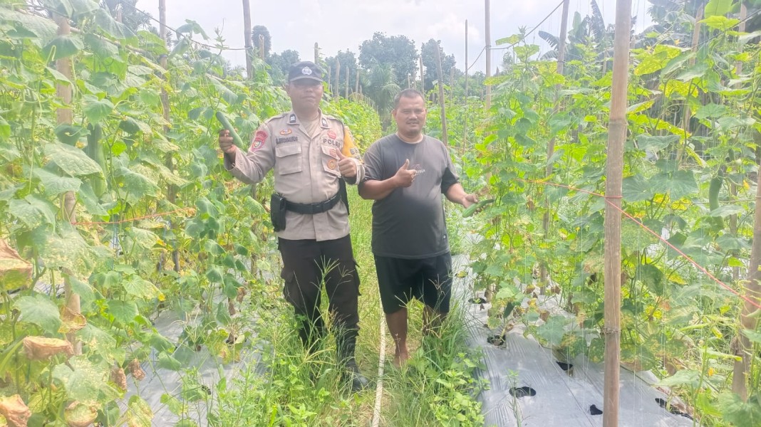 Bhabikamtibmas dan Warga Kemuning Muda Sinergi Kuatkan Ketahanan Pangan Desa