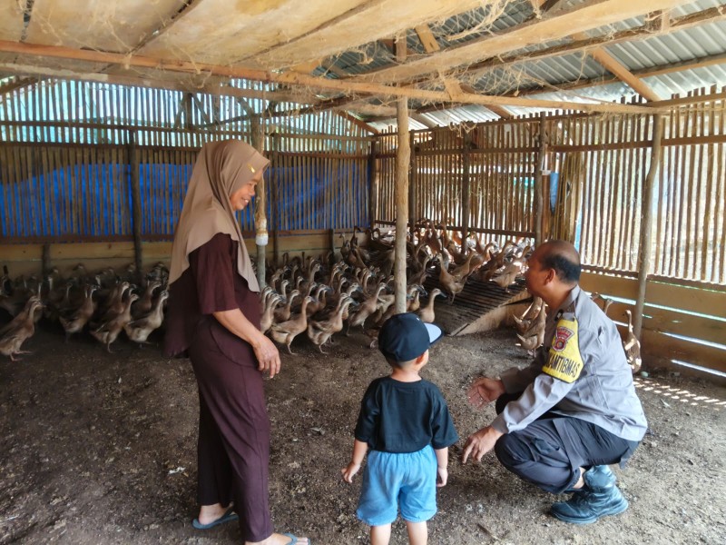 Sambang ke Peternak Bebek Kemuning Tua, Bhabinkamtibmas Polsek Kemuning Dampingi Ibu Mimi