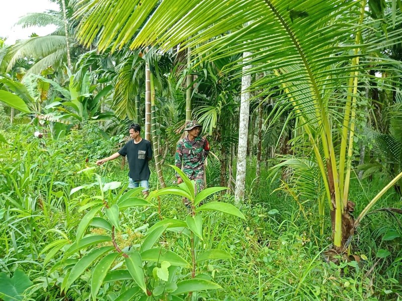 Rutin Lakukan Patroli Karhutla, Babinsa Koramil 07/Reteh Jaga Lingkungan dari Kebakaran Hutan dan Lahan
