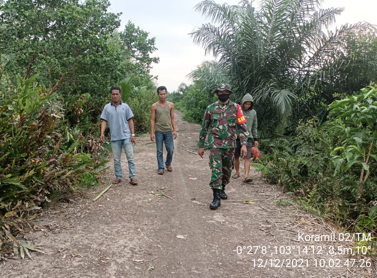 Keluar Masuk Kebun Warga, Babinsa 02/Tanah Merah Gencar Lakukan Patroli Karhutla