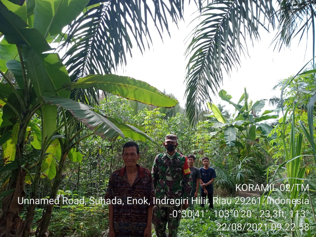 Babinsa 02/Tanah Merah Lakukan Patroli Karhutla di Desa Suhada