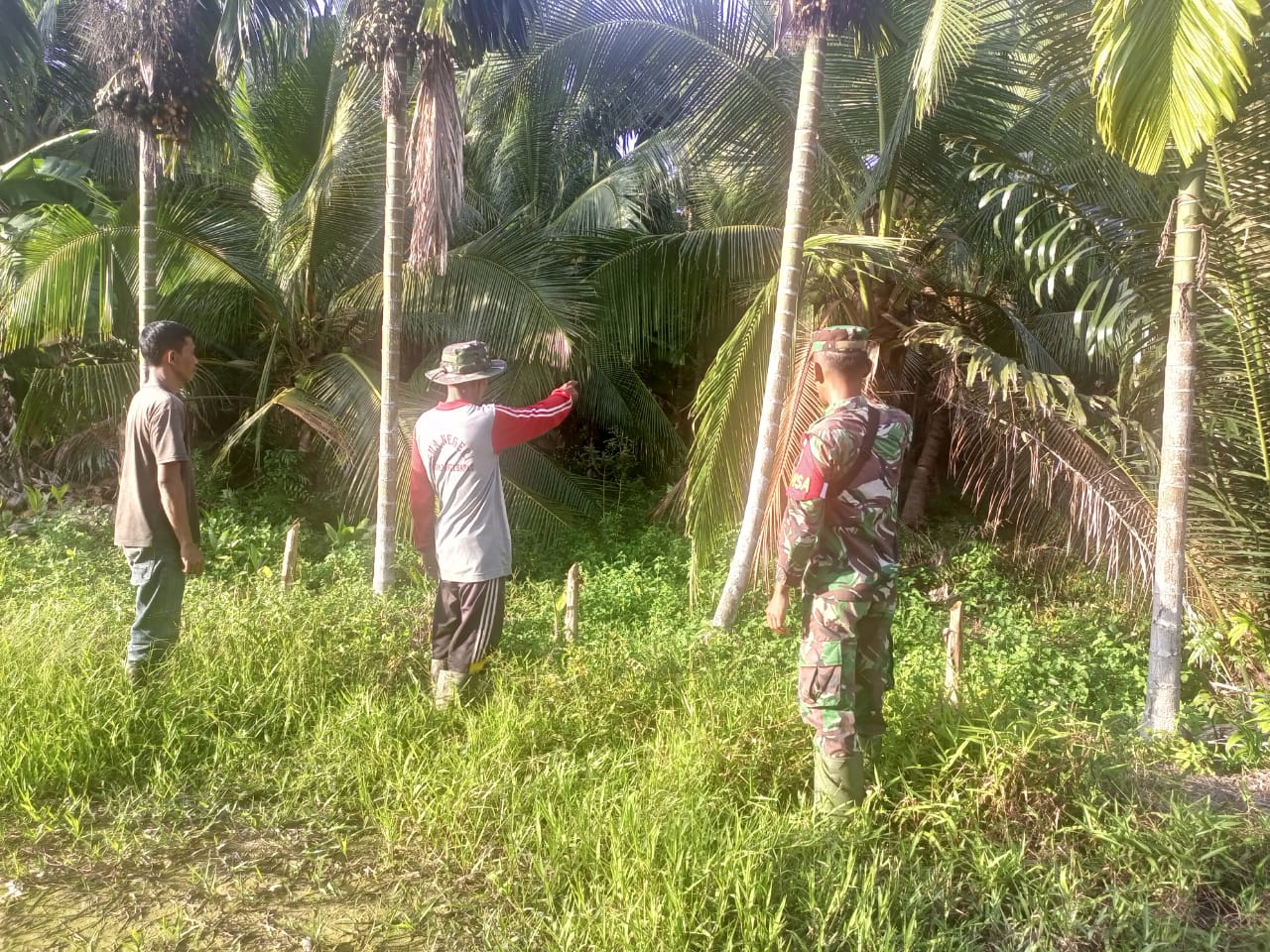 Bersama Masyarakat Petani, Babinsa Koramil 04/Kuindra Turun Ke Wilayah