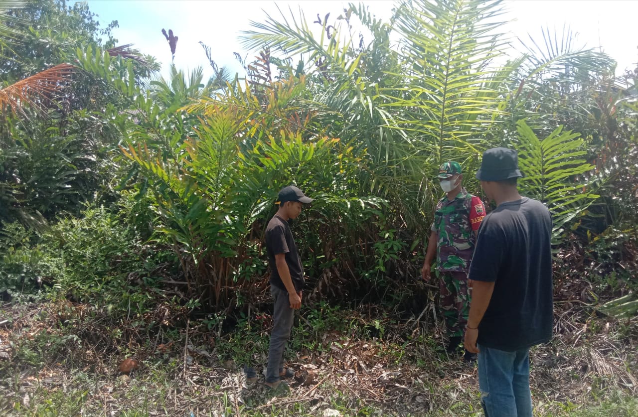 Cegah Kebakaran Lahan dan Hutan, Babinsa Koramil 04/Kuindra Adakan Patroli Rutin
