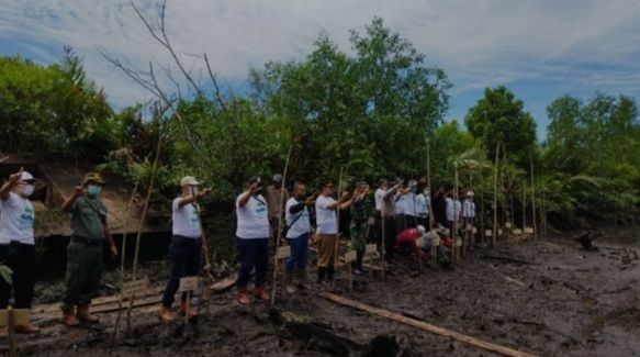 Cegah Erosi dan Lakukan Pemulihan DAS, PT THIP Lakukan Penanganan Mangrove