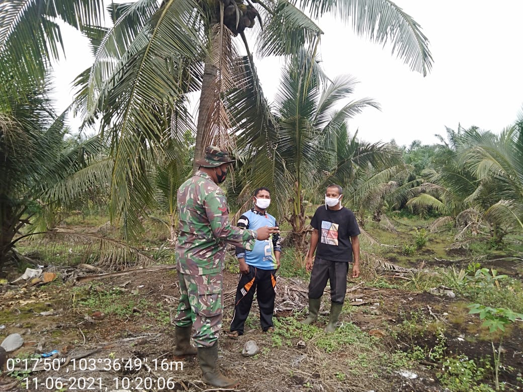 Babinsa Kelapa Patih Jaya Gencarkan Patroli dan Larangan Bakar Lahan
