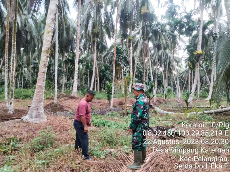 Patroli Karhutla dan Sosialisasi Terus DilakukanBabinsa Koramil 10/Pelangiran Bersama Masyarakat