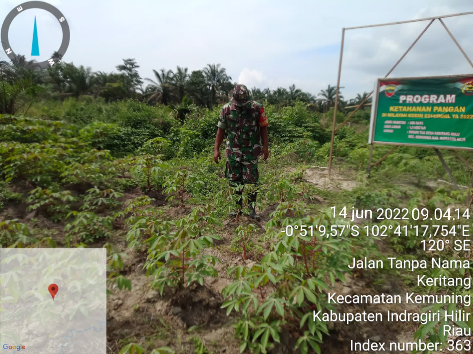 Upaya Pembersihan Gulma Guna Mempercepat Perkembangan Tanah Oleh Babinsa Koramil 09/Kemuning