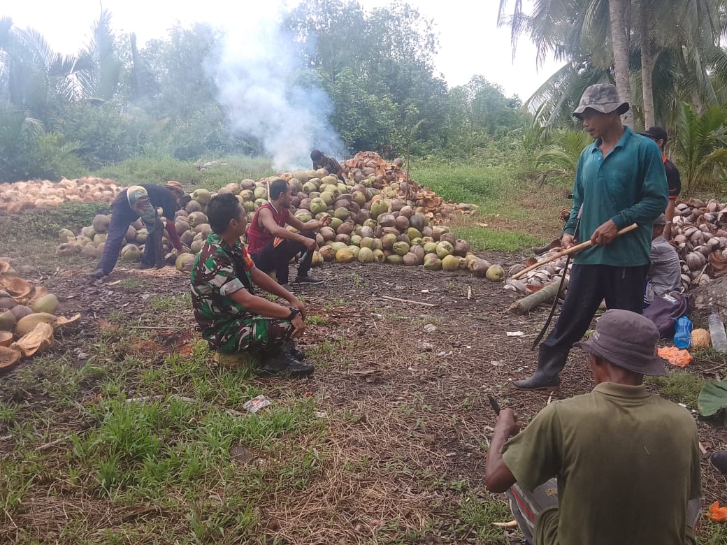 Babinsa Koramil 04/Kuindra Bersama Masyarakat Petani Turun Ke Wilayah