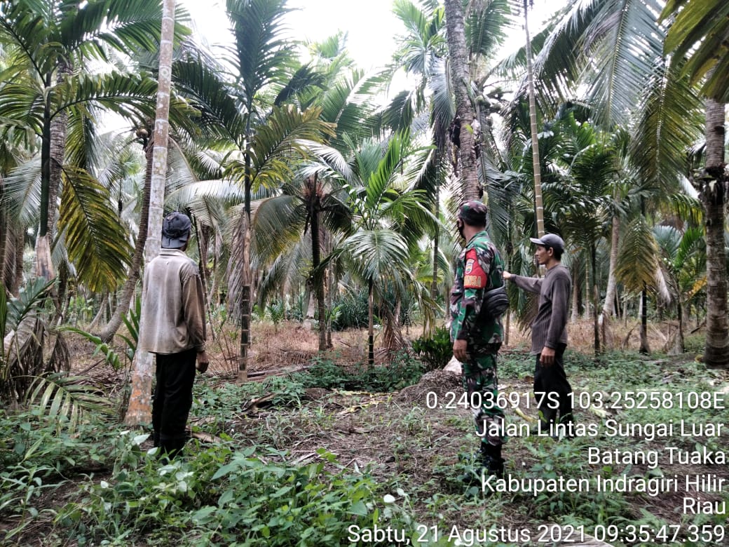 Gencarnya Babinsa Koramil 12/Batang Antisipasi Bahaya Karhutla di Sungai Piring
