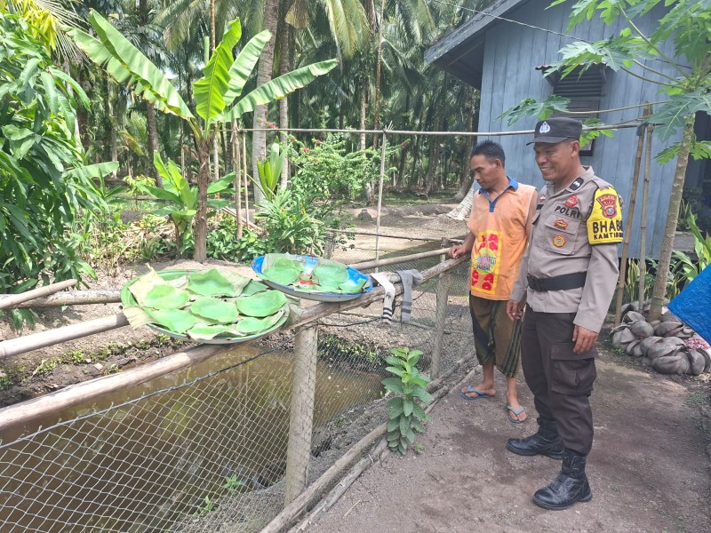 Dukung Ketahanan Pangan Nasional, Bhabinkamtibmas Tasik Raya Pantau Perkembangan Ikan Nila Warga