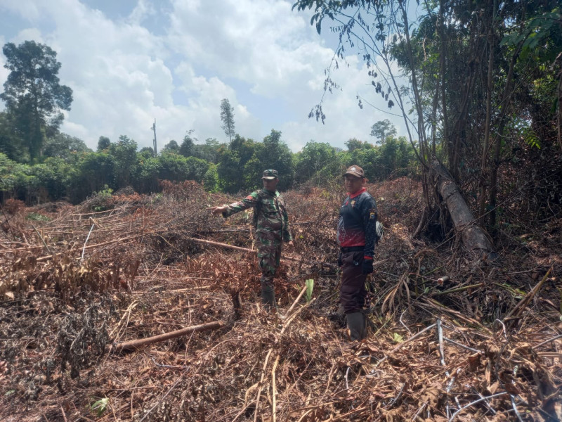Babinsa Koramil 05/Gas Pratu Sandi Wahyudi Laksanakan Patroli Karlahut Secara Rutin