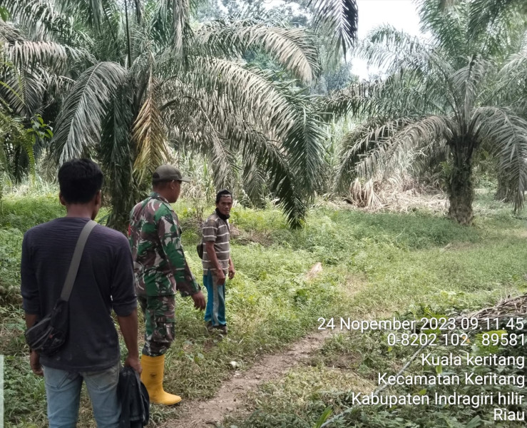 Pencegahan Kebakaran Terus Dilakukan Babinsa Koramil 09/Kemuning Guna Demi Kenyamanan Lingkungan Setempat